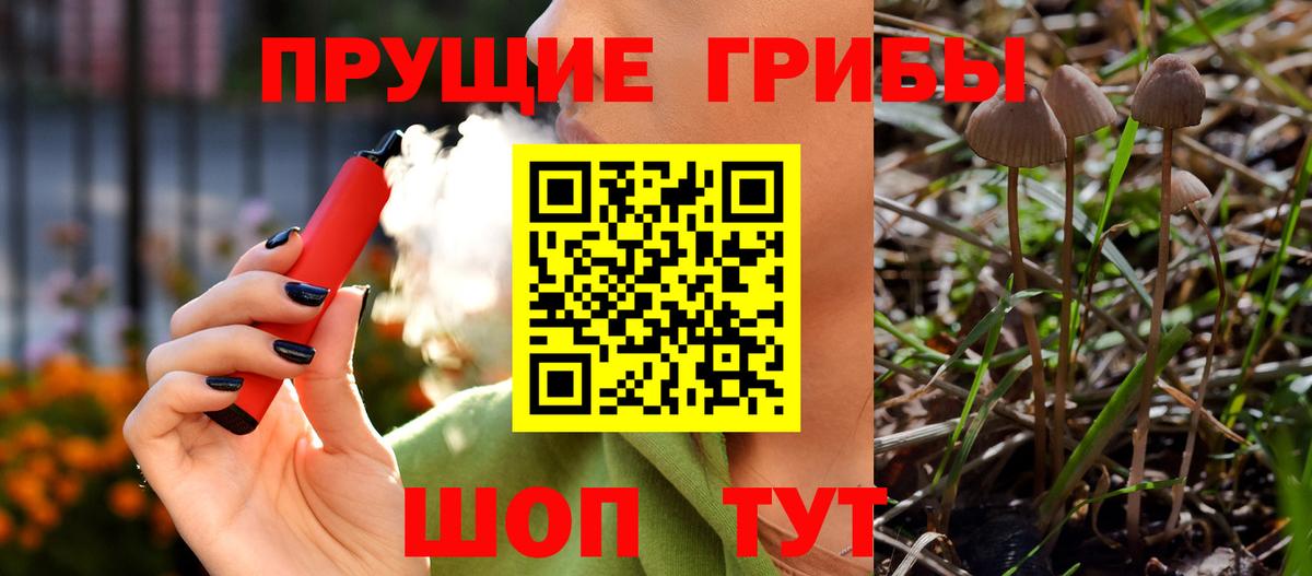 Изобильный  Псилоцибиновые грибы мицелий  Псилоцибиновые грибы прущие грибы  Вход с VPN 